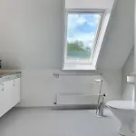 Gorgeous In With Kitchen Vakantiehuis