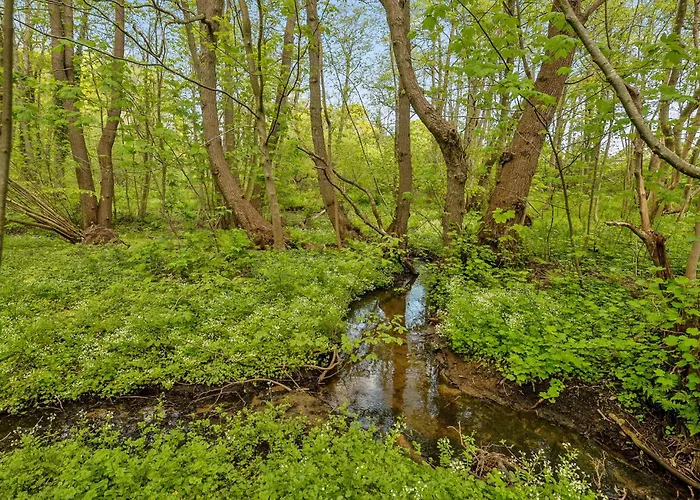 Gorgeous In With Kitchen Крусо